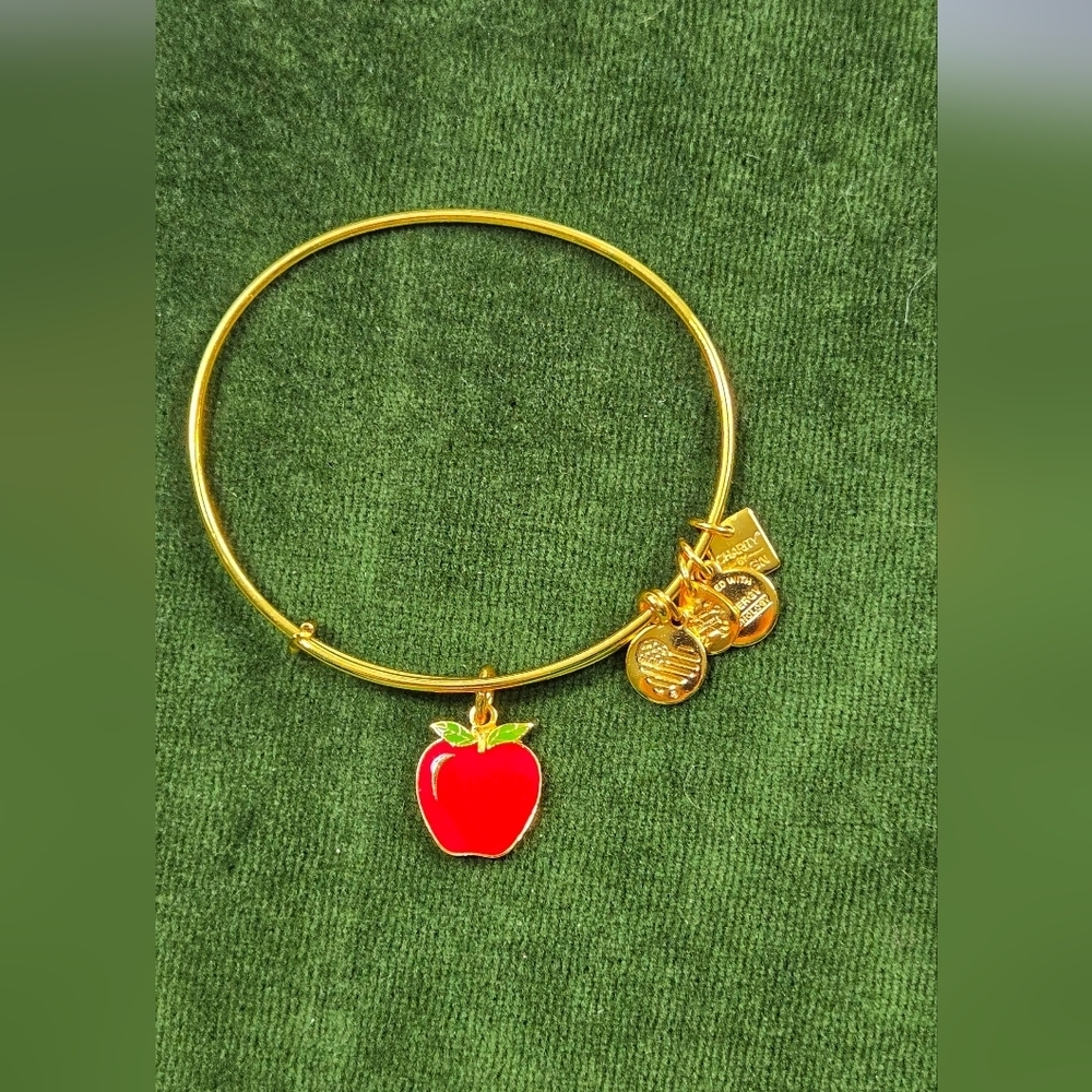 Alex And Ani Gold Tone Red Apple 2017  Charm Bracelet - Picture 5 of 15